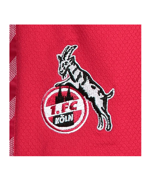 hummel 1. fc köln shorts udebane 20232024 børn rød f3062