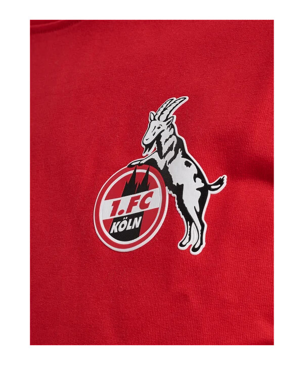 hummel 1. fc köln rejsetrøje 20242025 børn rød f3062