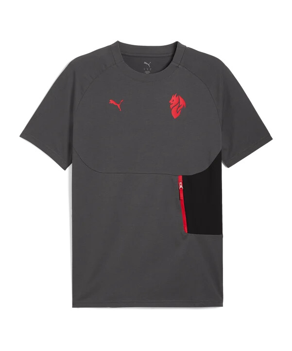 puma ac milan pumatech lomme t-shirt grå f15