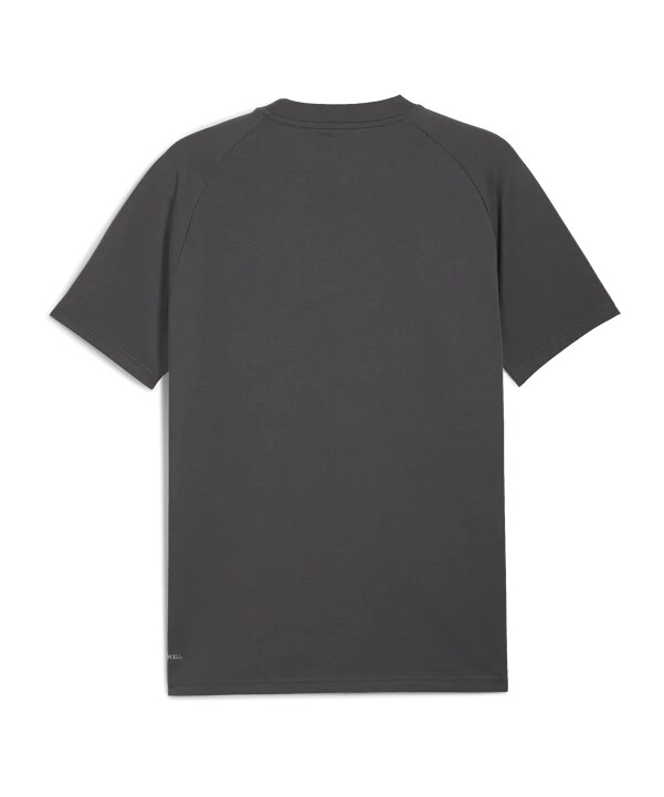 puma ac milan pumatech lomme t-shirt grå f15