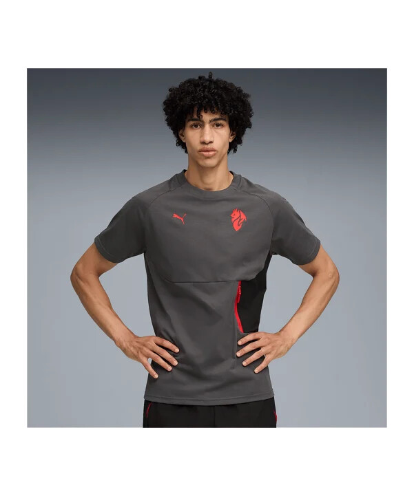 puma ac milan pumatech lomme t-shirt grå f15
