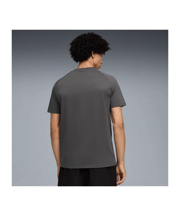 puma ac milan pumatech lomme t-shirt grå f15