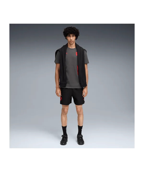 puma ac milan pumatech lomme t-shirt grå f15