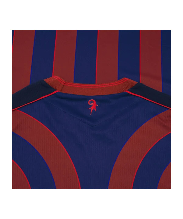 macron fc basel hjemmebanetrøje 20252026 blå