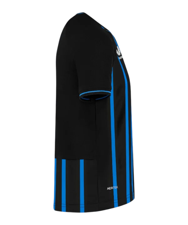 castore fc brugge hjemmebanetrøje 20252026 sort f013