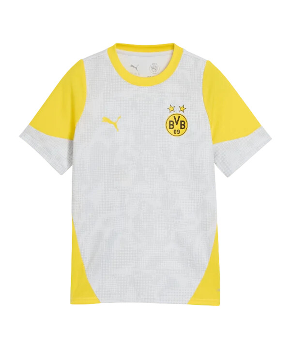 puma borussia dortmund træningstrøje børn grå f18