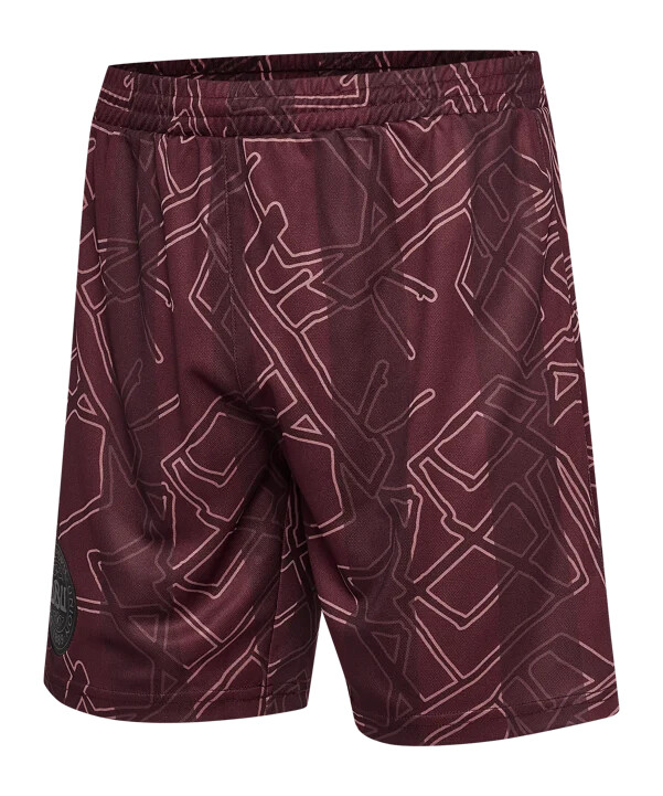hummel danmark x halo shorts 2024 blå f8186