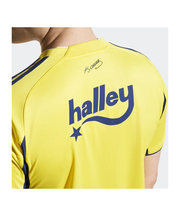 adidas fenerbahce istanbul udebanetrøje 20252026