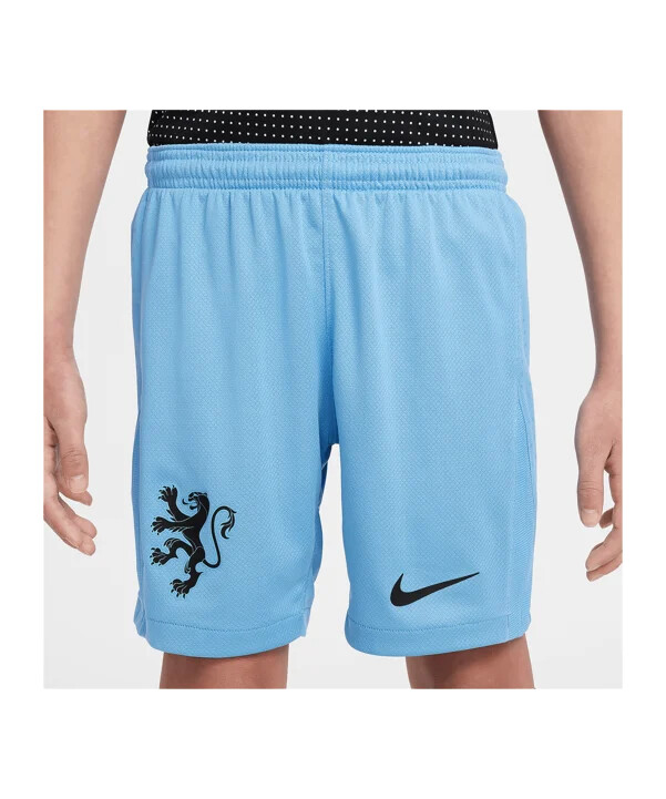 nike holland udebaneshorts 2025 børn blå f489