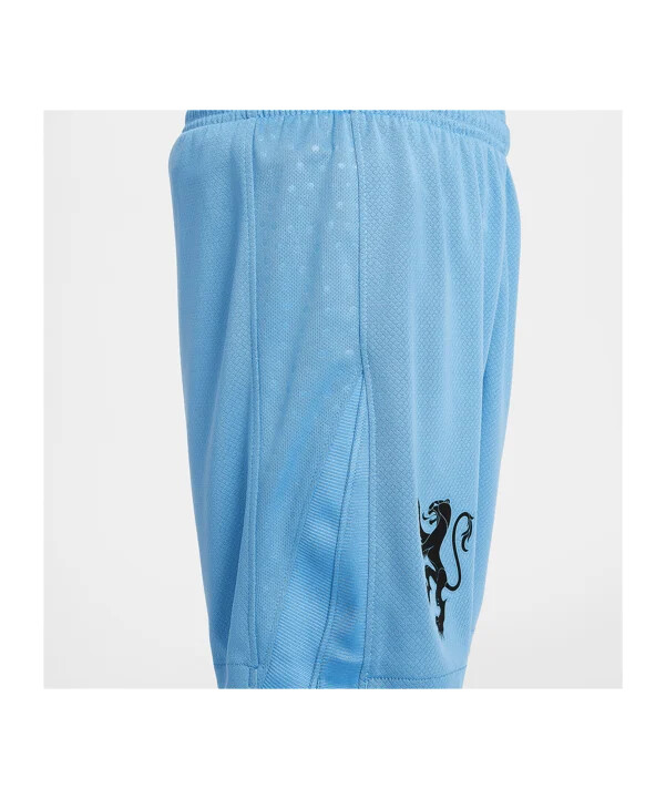 nike holland udebaneshorts 2025 børn blå f489