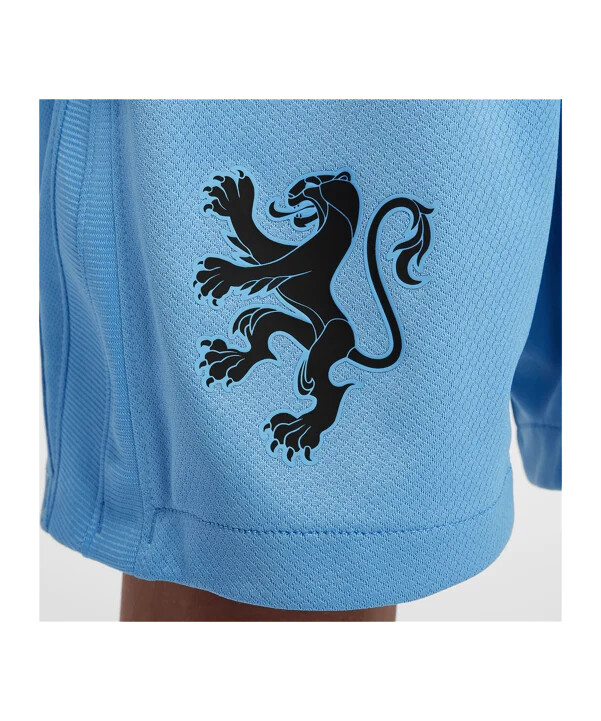 nike holland udebaneshorts 2025 børn blå f489