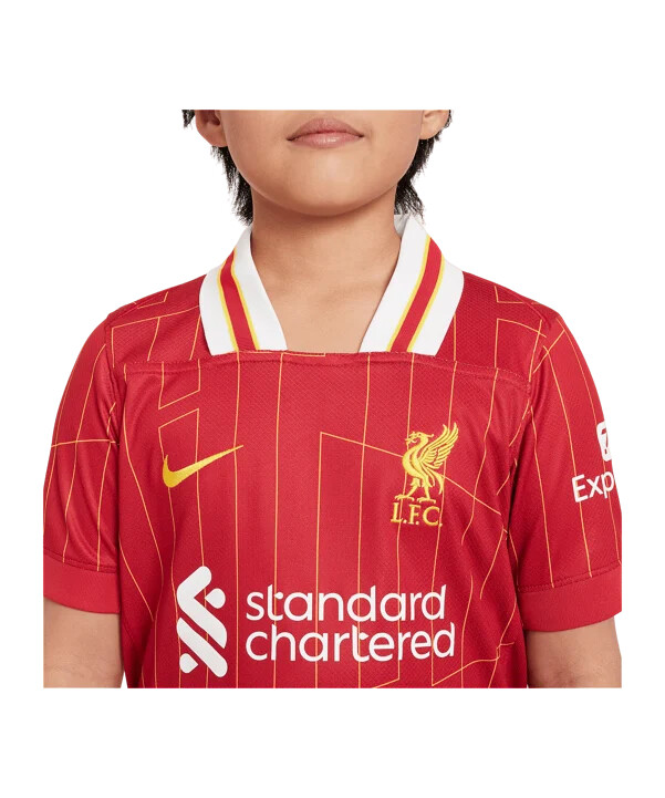 nike fc liverpool hjemmebanetrøje 202425 børn rød f688