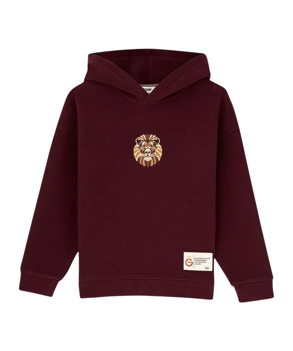 gsstore x reflect studio lion hættetrøje børn rød