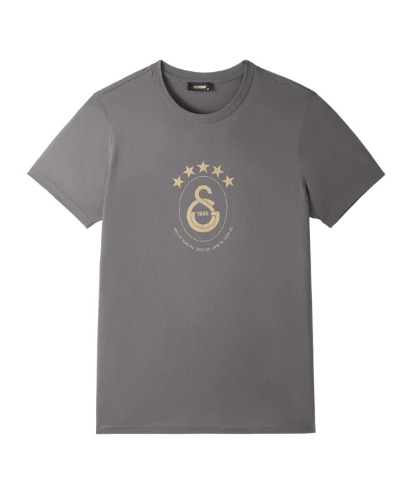 galatasaray istanbul galatasaray istanbul 5 stjerner t-shirt grå