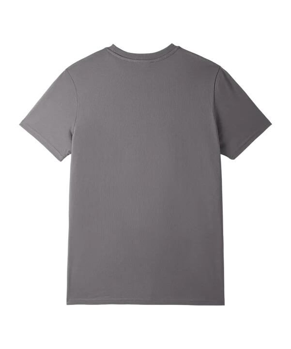 galatasaray istanbul galatasaray istanbul 5 stjerner t-shirt grå
