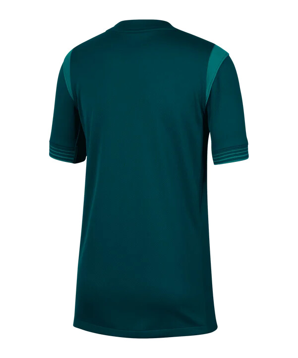 nike nigeria hjemmebanetrøje 20252026 børn blå f483