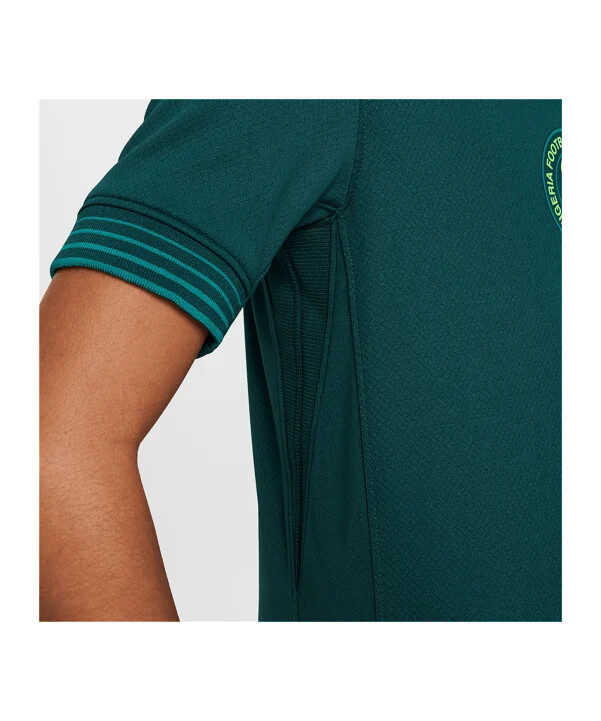 nike nigeria hjemmebanetrøje 20252026 børn blå f483