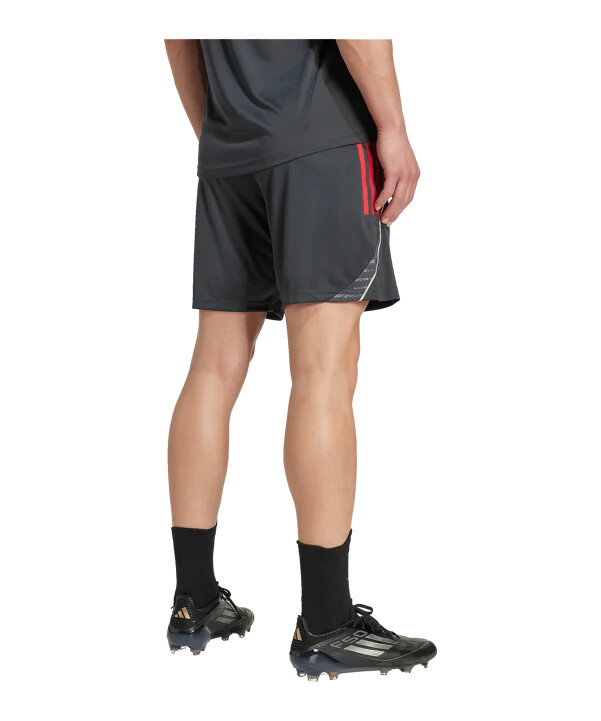adidas olympic lyon træningsshorts grå