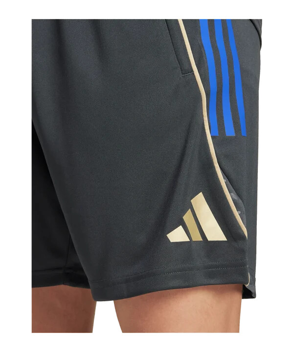 adidas olympic lyon træningsshorts grå