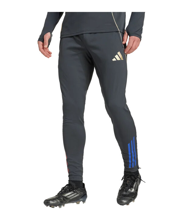 adidas olympique lyon træningsbukser grå