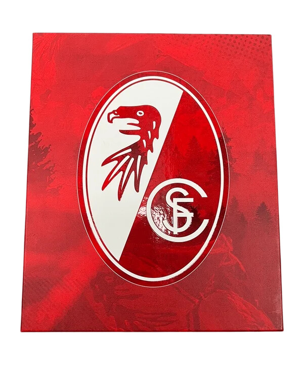 nike sc freiburg special edition-trøje 50 år sc dametrøje børn hvid f100