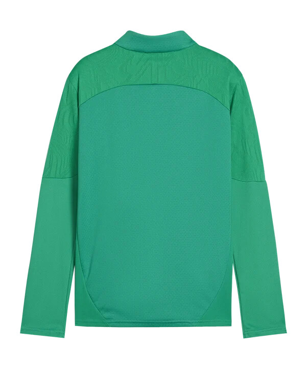 puma sk rapid wien sweatshirt børn grøn f05