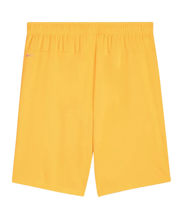 puma sk rapid wien målmandsshorts 20242025 børn orange f61