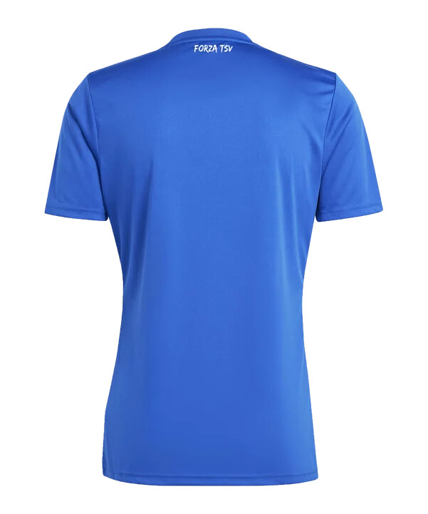 adidas tsv hartberg hjemmebanetrøje 20242025 børn blå