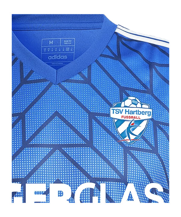 adidas tsv hartberg hjemmebanetrøje 20242025 børn blå