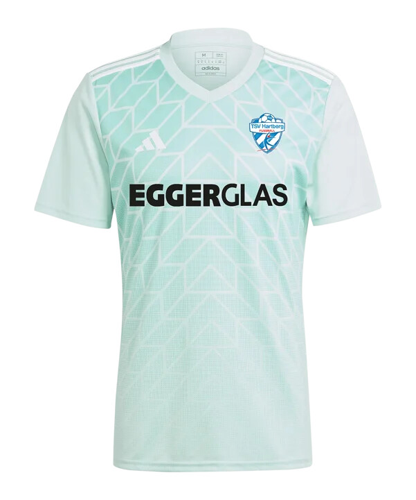 adidas tsv hartberg udebanetrøje 20242025 børn turkis