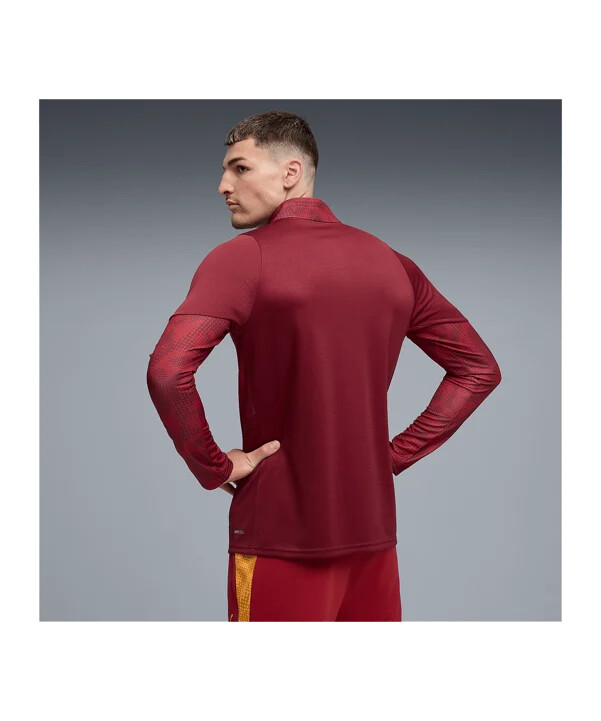 puma galatasaray istanbul sweatshirt rød f003