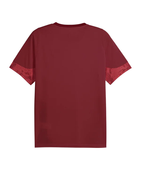 puma galatasaray istanbul træningstrøje rød f003