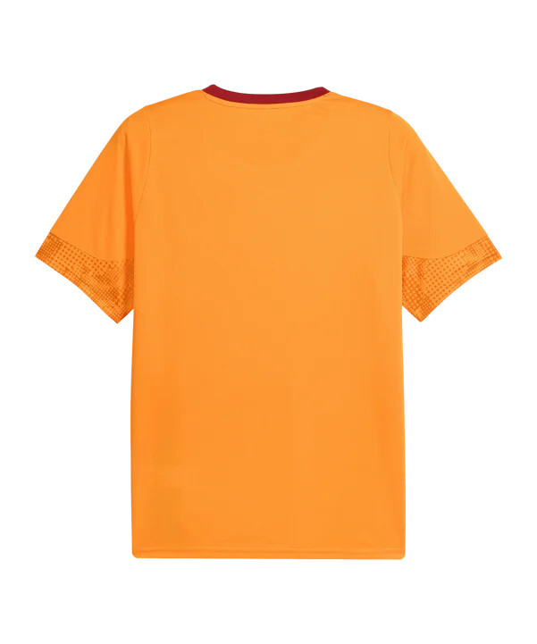 puma galatasaray istanbul træningstrøje orange f006