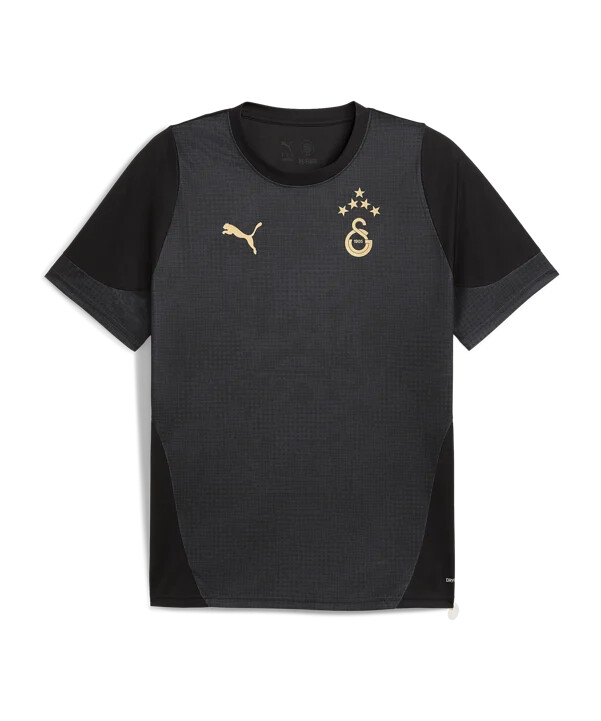puma galatasaray istanbul træningstrøje sort f010